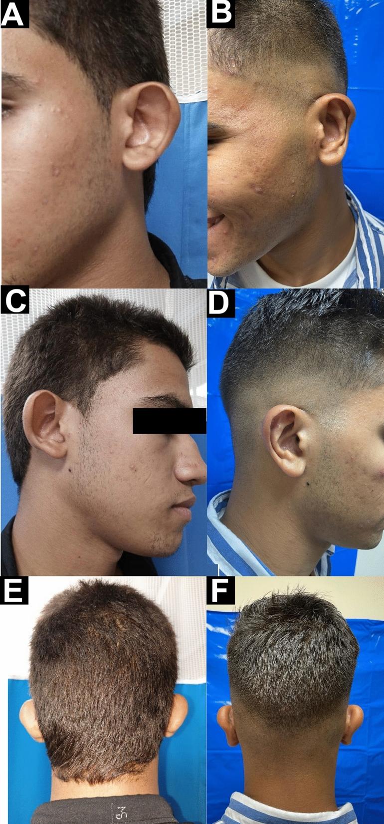https://cdn.ncbi.nlm.nih.gov/pmc/blobs/3dc9/11893691/0ecc2d759ae3/266_2024_4478_Fig4_HTML.jpg