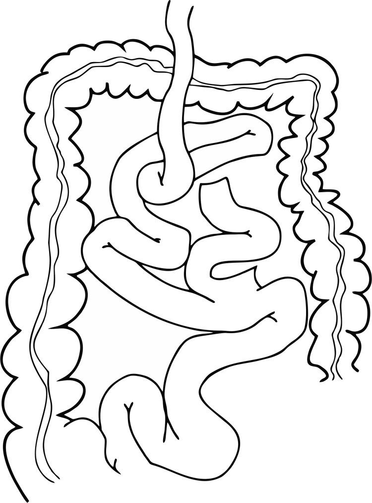 https://cdn.ncbi.nlm.nih.gov/pmc/blobs/3dc9/4520845/c948d5baa7d6/WIITM-10-25236-g003.jpg