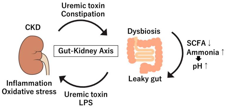 https://cdn.ncbi.nlm.nih.gov/pmc/blobs/3dca/11719742/dbd30a37977f/diagnostics-15-00021-g001.jpg