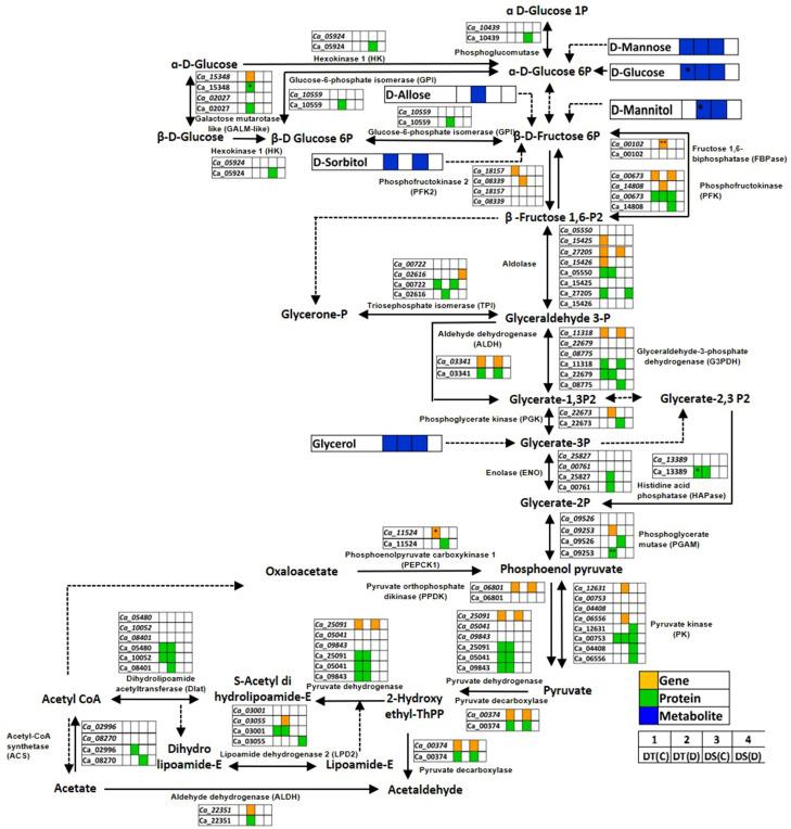 https://cdn.ncbi.nlm.nih.gov/pmc/blobs/3dcc/10242046/7964154f4871/fpls-14-1156606-g007.jpg