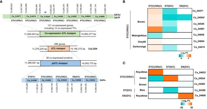 https://cdn.ncbi.nlm.nih.gov/pmc/blobs/3dcc/10242046/9e54a672c90f/fpls-14-1156606-g008.jpg