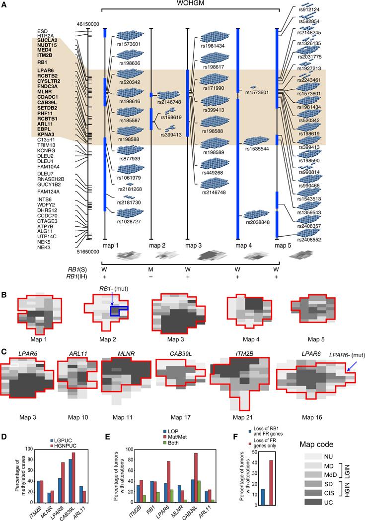 https://cdn.ncbi.nlm.nih.gov/pmc/blobs/3dce/11265536/5e9155247225/nihms-2000737-f0001.jpg