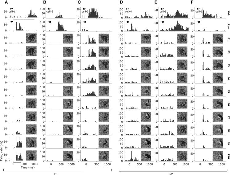 https://cdn.ncbi.nlm.nih.gov/pmc/blobs/3dcf/10783614/d369bb089b9b/gr3.jpg