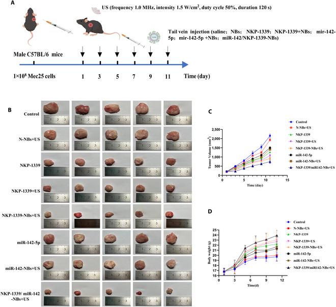 https://cdn.ncbi.nlm.nih.gov/pmc/blobs/3dd3/12334082/ec32c7c1b4ac/bmr.0232.fig.004.jpg