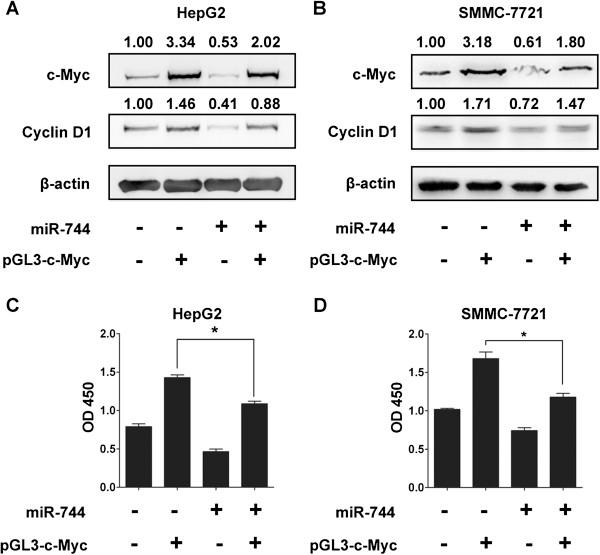 https://cdn.ncbi.nlm.nih.gov/pmc/blobs/3dd3/4079640/ae0300b22ec5/1475-2867-14-58-5.jpg