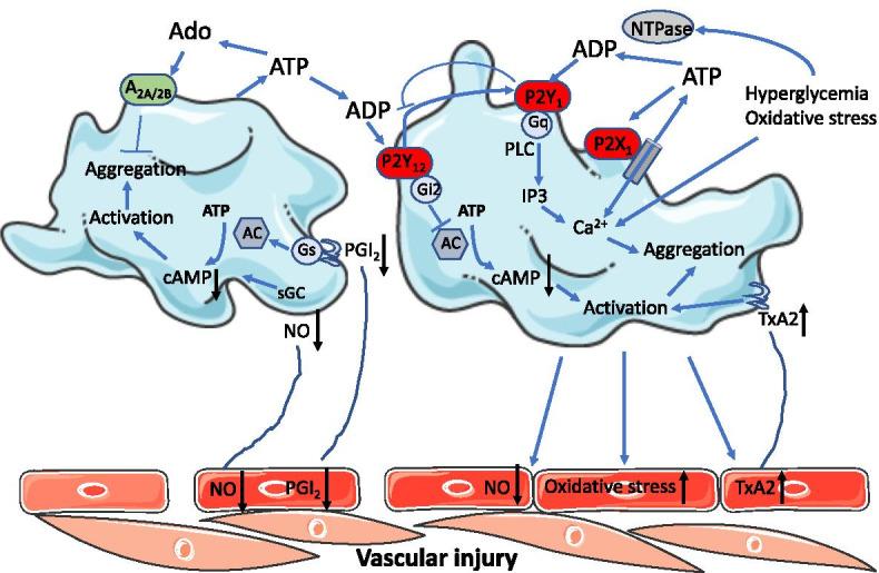 https://cdn.ncbi.nlm.nih.gov/pmc/blobs/3dd3/8677852/6f0a6760ca4e/11302_2021_9807_Fig2_HTML.jpg