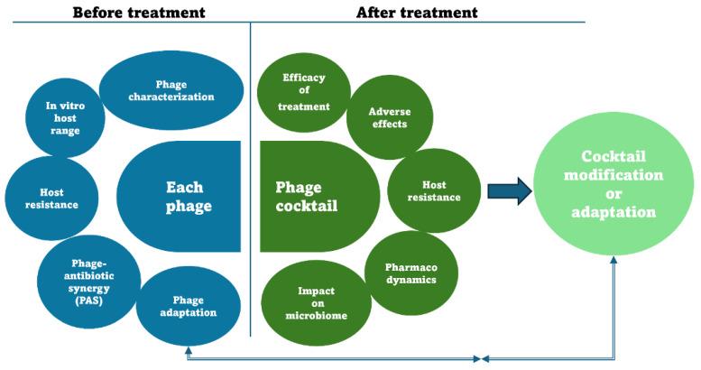https://cdn.ncbi.nlm.nih.gov/pmc/blobs/3dd4/11206709/518e29c9a2fe/pathogens-13-00522-g001.jpg