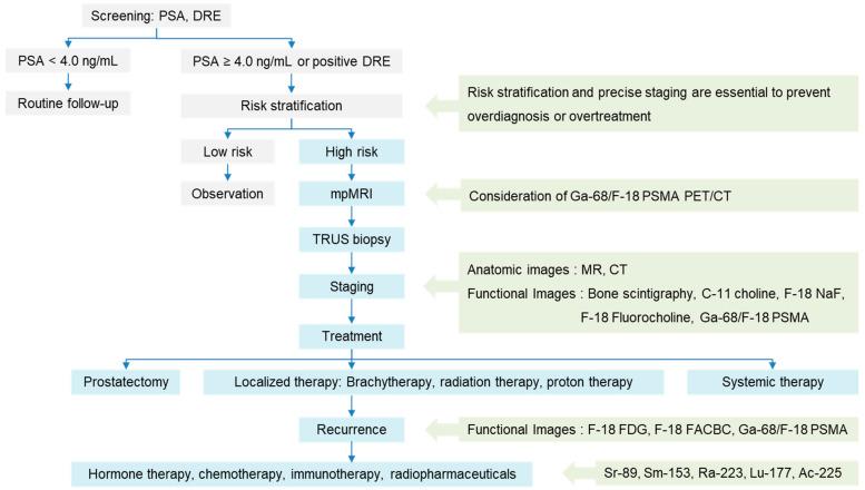 https://cdn.ncbi.nlm.nih.gov/pmc/blobs/3dd4/12109171/a186bb194a46/biomedicines-13-01132-g001.jpg