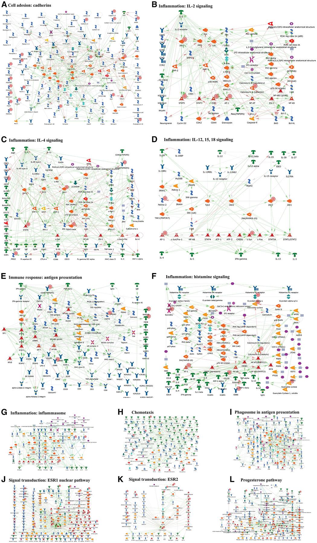 https://cdn.ncbi.nlm.nih.gov/pmc/blobs/3dd4/12172552/1b552764cd05/nihms-2085655-f0007.jpg