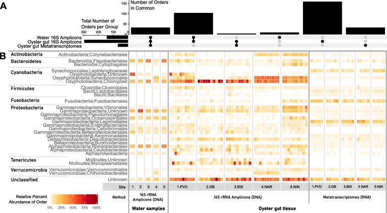 https://cdn.ncbi.nlm.nih.gov/pmc/blobs/3dd5/7934548/54ce2a999516/42523_2020_66_Fig4_HTML.jpg