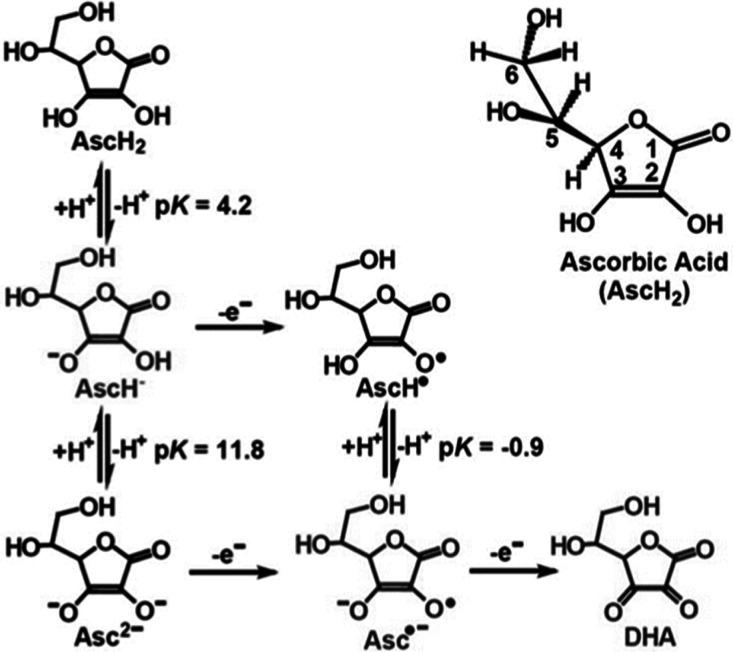 https://cdn.ncbi.nlm.nih.gov/pmc/blobs/3dd6/12368806/bf060df623bb/ao5c04191_0002.jpg