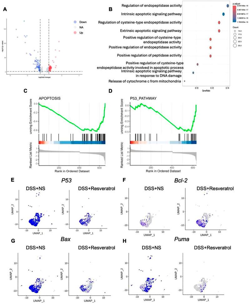https://cdn.ncbi.nlm.nih.gov/pmc/blobs/3dd7/12075554/f0c4168e2a10/fphar-16-1572906-g003.jpg