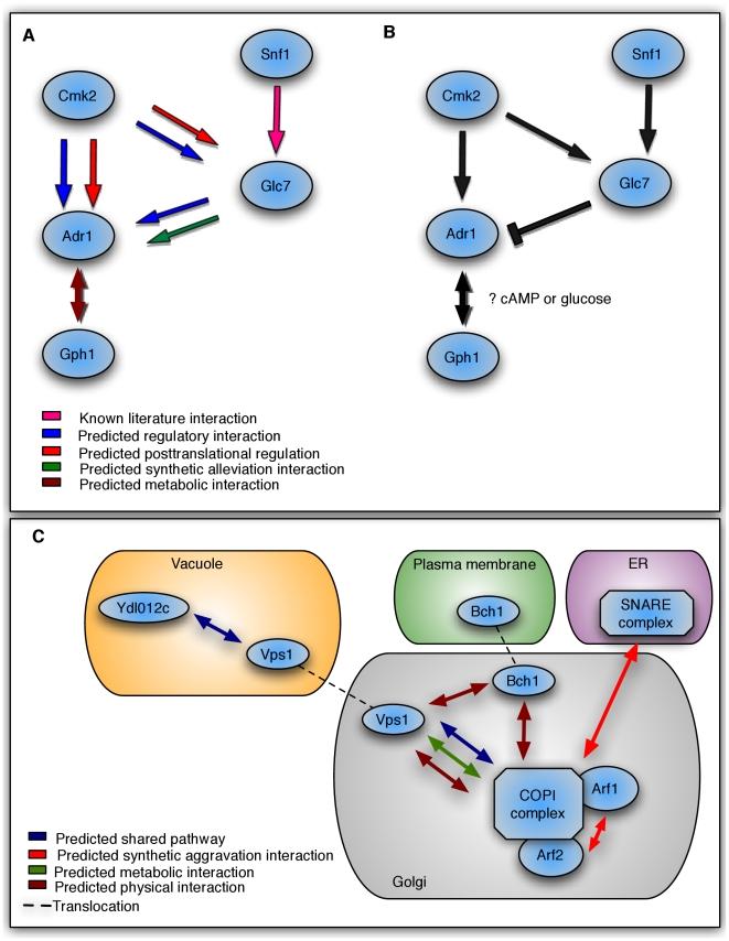 https://cdn.ncbi.nlm.nih.gov/pmc/blobs/3dd7/2991250/23dcd07234b8/pcbi.1001009.g003.jpg