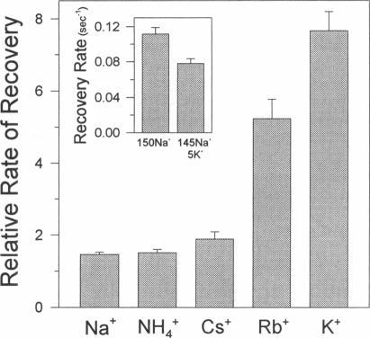 https://cdn.ncbi.nlm.nih.gov/pmc/blobs/3dd8/1224979/0e3217109a25/biophysj00053-0224-a.jpg