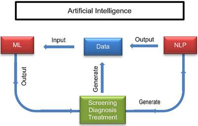 https://cdn.ncbi.nlm.nih.gov/pmc/blobs/3dd9/11948670/eca28b18133f/VMS3-11-e70258-g010.jpg
