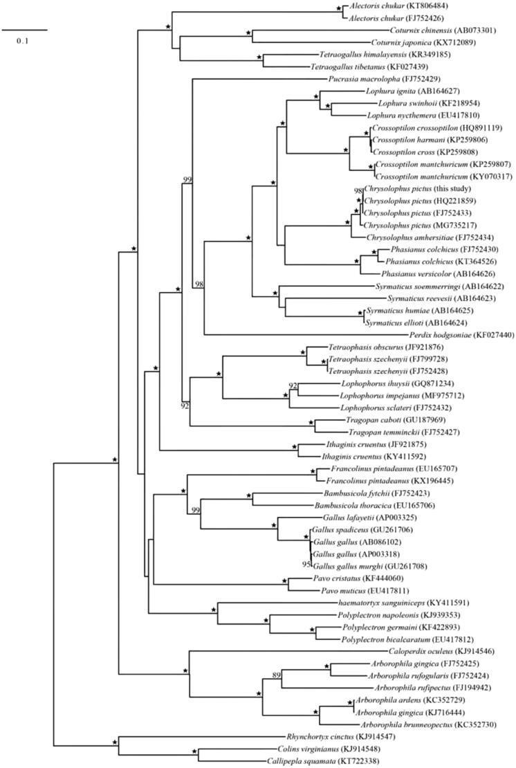 https://cdn.ncbi.nlm.nih.gov/pmc/blobs/3dd9/7748556/1300c2e20a8d/TMDN_A_1722762_F0001_B.jpg