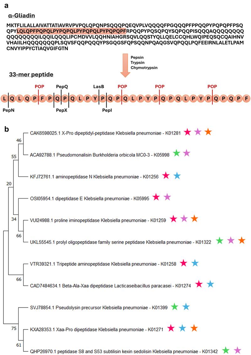 https://cdn.ncbi.nlm.nih.gov/pmc/blobs/3dda/12068744/5deedbd99ab7/KGMI_A_2500063_F0003_OC.jpg