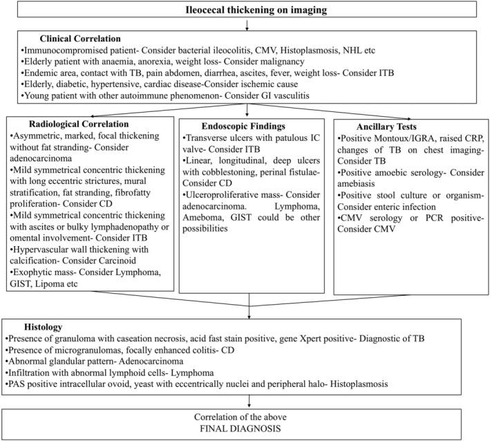 https://cdn.ncbi.nlm.nih.gov/pmc/blobs/3ddb/6891021/8563e87bb97d/JGH3-3-456-g003.jpg