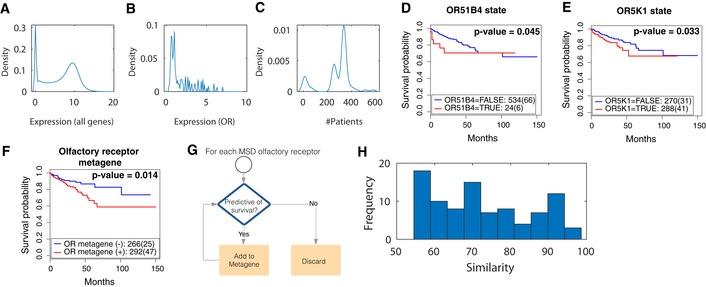 https://cdn.ncbi.nlm.nih.gov/pmc/blobs/3ddc/7059140/0870e8b0bfea/MSB-16-e9083-g014.jpg