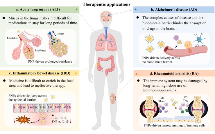 https://cdn.ncbi.nlm.nih.gov/pmc/blobs/3ddf/12271758/ce3046dc2760/gr3.jpg
