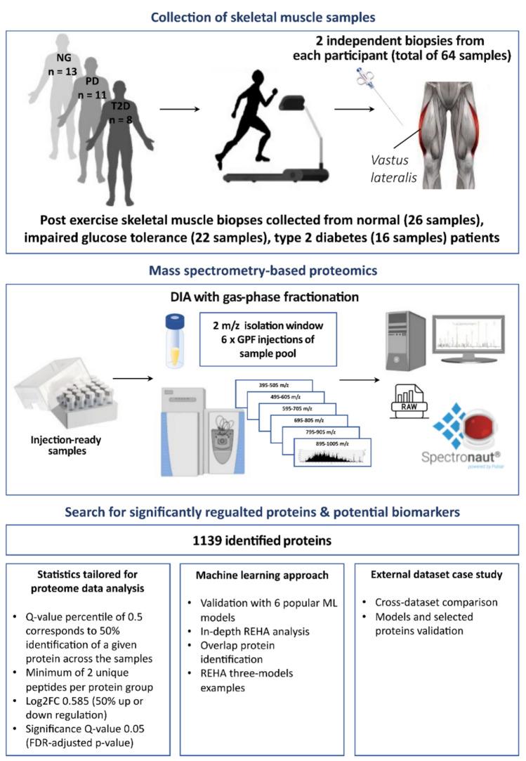 https://cdn.ncbi.nlm.nih.gov/pmc/blobs/3de1/11292014/66877346e499/41598_2024_68568_Fig1_HTML.jpg