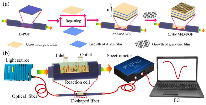 https://cdn.ncbi.nlm.nih.gov/pmc/blobs/3de2/11763797/334b2b8cb9ed/biosensors-15-00035-g003.jpg