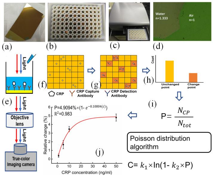 https://cdn.ncbi.nlm.nih.gov/pmc/blobs/3de2/11763797/3bdb1903c9e2/biosensors-15-00035-g005.jpg