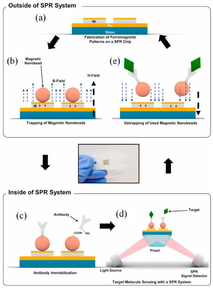 https://cdn.ncbi.nlm.nih.gov/pmc/blobs/3de2/11763797/42def5782805/biosensors-15-00035-g006.jpg