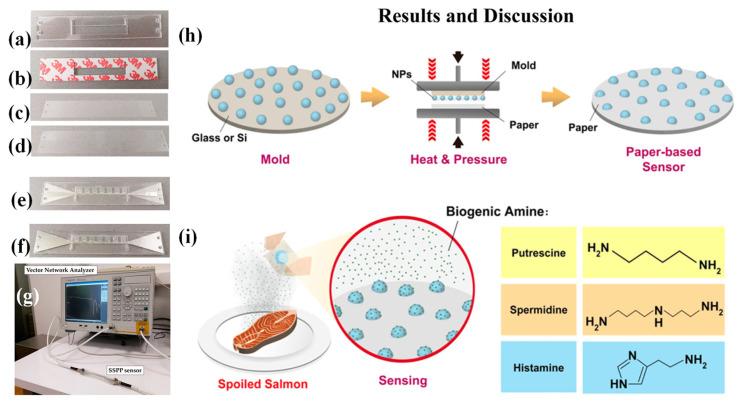https://cdn.ncbi.nlm.nih.gov/pmc/blobs/3de2/11763797/44f04d2807c3/biosensors-15-00035-g009.jpg