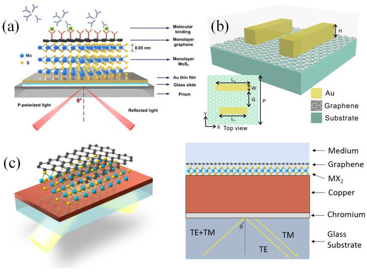 https://cdn.ncbi.nlm.nih.gov/pmc/blobs/3de2/11763797/47c77c189adf/biosensors-15-00035-g012.jpg