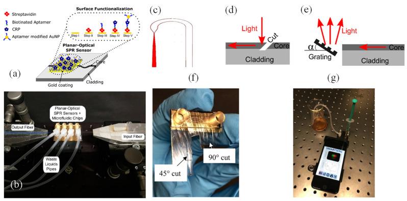 https://cdn.ncbi.nlm.nih.gov/pmc/blobs/3de2/11763797/88bdf8d28054/biosensors-15-00035-g004.jpg