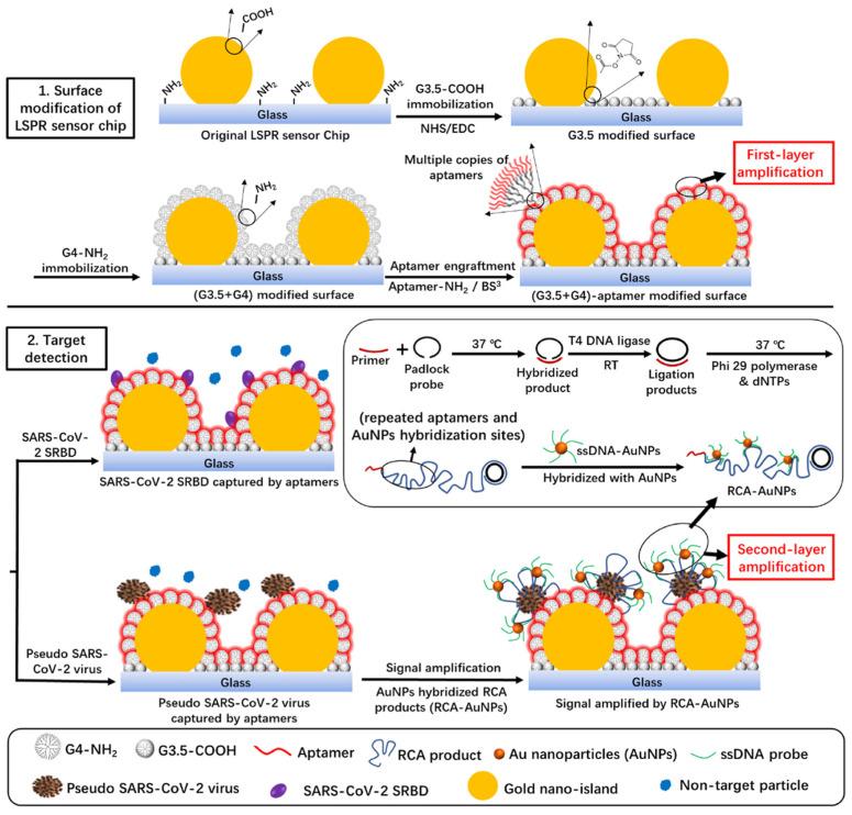 https://cdn.ncbi.nlm.nih.gov/pmc/blobs/3de2/11763797/deebbae7a995/biosensors-15-00035-g011.jpg