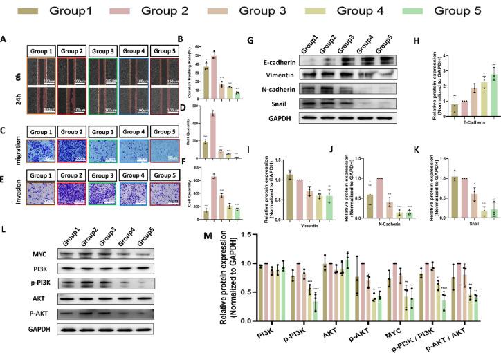 https://cdn.ncbi.nlm.nih.gov/pmc/blobs/3de3/12037812/66c1dde68e8a/41598_2025_98214_Fig6_HTML.jpg