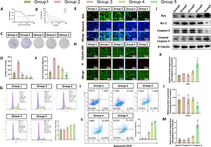 https://cdn.ncbi.nlm.nih.gov/pmc/blobs/3de3/12037812/8cdb0a454040/41598_2025_98214_Fig5_HTML.jpg