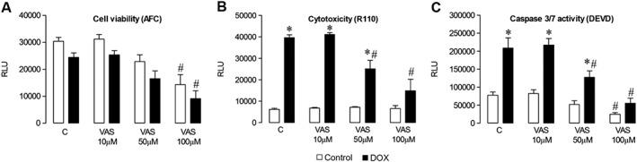 https://cdn.ncbi.nlm.nih.gov/pmc/blobs/3de3/5647180/d489b03586f9/BPH-174-3677-g009.jpg