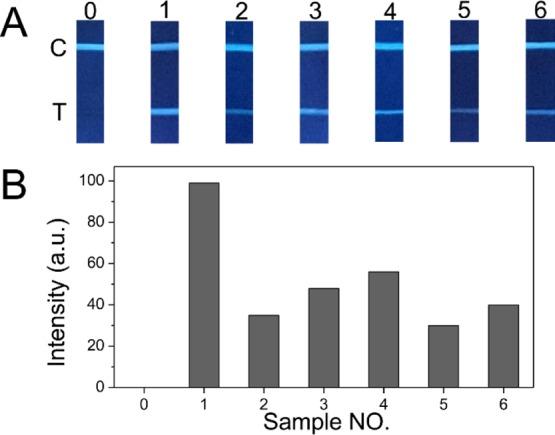 https://cdn.ncbi.nlm.nih.gov/pmc/blobs/3deb/6921636/9168ea3632df/ao9b03130_0009.jpg
