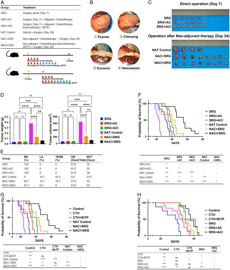 https://cdn.ncbi.nlm.nih.gov/pmc/blobs/3dec/11093442/79f2fe7ec91d/js9-110-2679-g004.jpg
