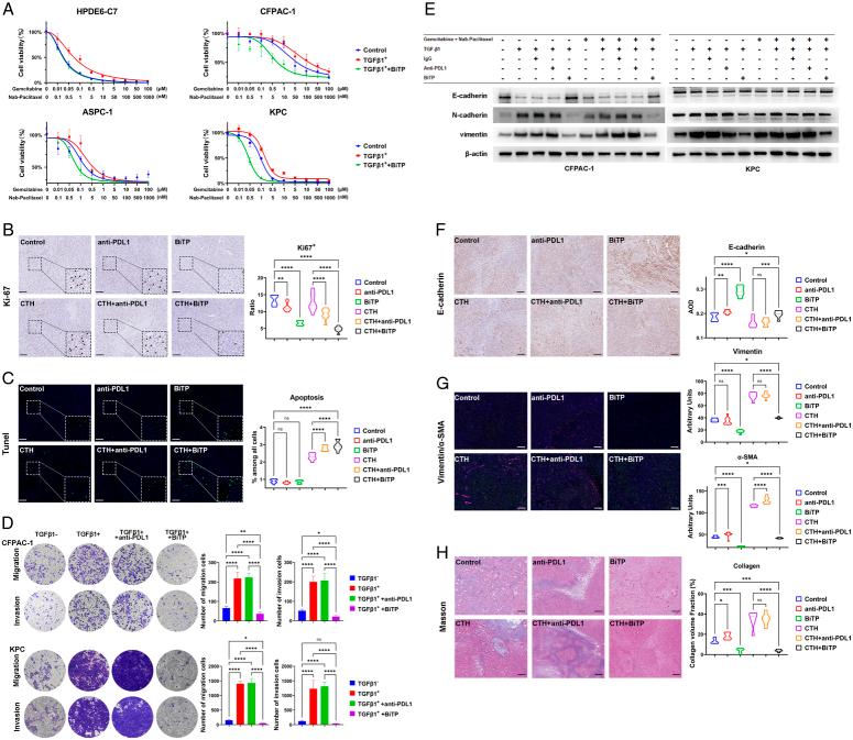 https://cdn.ncbi.nlm.nih.gov/pmc/blobs/3dec/11093442/a967cb2957ea/js9-110-2679-g006.jpg