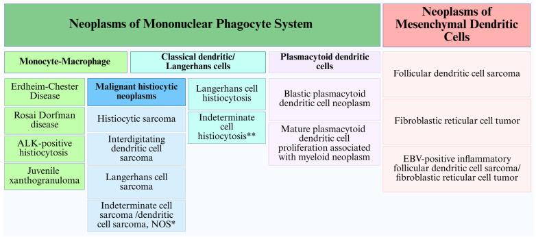 https://cdn.ncbi.nlm.nih.gov/pmc/blobs/3dec/12191123/542259c29873/cancers-17-02055-g003.jpg