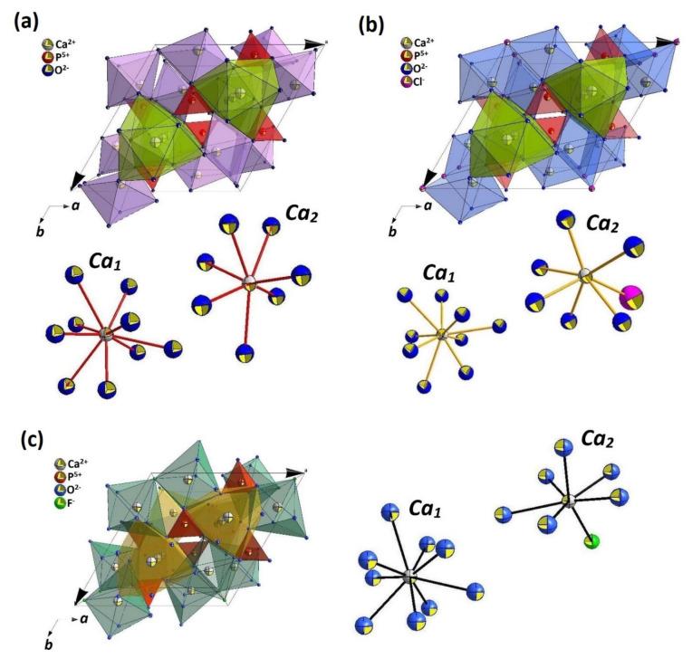 https://cdn.ncbi.nlm.nih.gov/pmc/blobs/3dec/8466056/4dcdc40df764/biomolecules-11-01388-g001.jpg