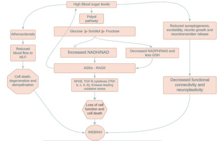 https://cdn.ncbi.nlm.nih.gov/pmc/blobs/3ded/11499628/23de2a906391/cureus-0016-00000070057-i03.jpg