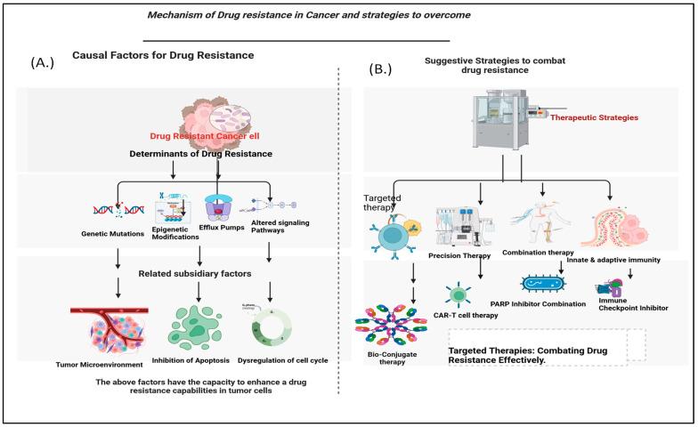 https://cdn.ncbi.nlm.nih.gov/pmc/blobs/3dee/11240358/46e690e0de6b/cancers-16-02478-g001.jpg