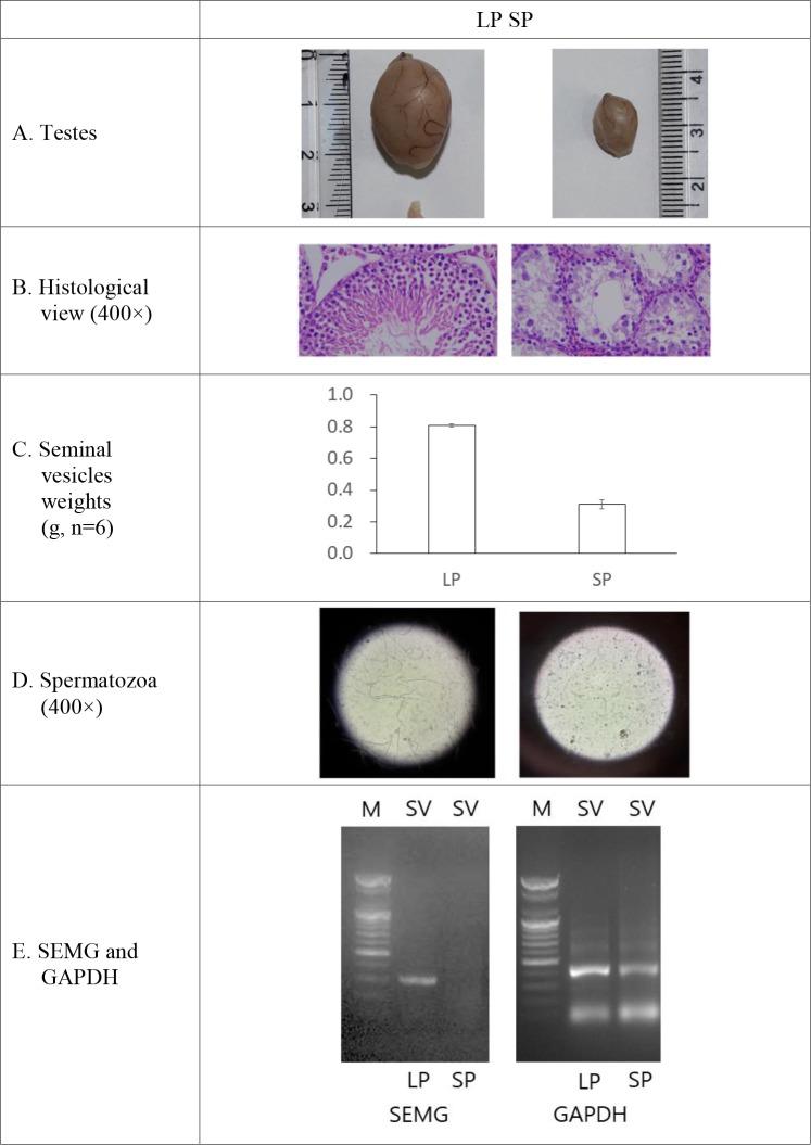 https://cdn.ncbi.nlm.nih.gov/pmc/blobs/3def/6985293/399bc5e6e21d/dr-23-4-355-g3.jpg