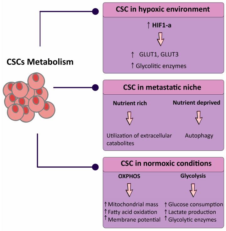 https://cdn.ncbi.nlm.nih.gov/pmc/blobs/3df2/10051376/3ae25b03e4ea/metabolites-13-00404-g001.jpg