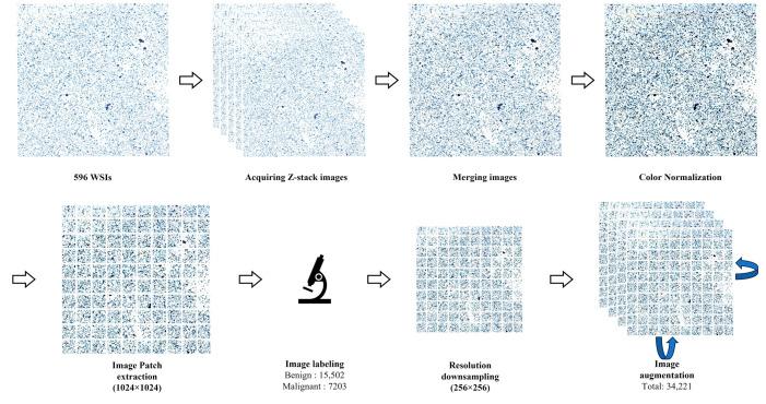 https://cdn.ncbi.nlm.nih.gov/pmc/blobs/3df2/10377793/af66e338e45e/cells-12-01847-g002.jpg