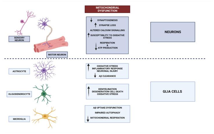 https://cdn.ncbi.nlm.nih.gov/pmc/blobs/3df6/10526226/e816b7eeca96/biomedicines-11-02488-g001.jpg