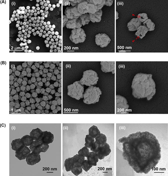 https://cdn.ncbi.nlm.nih.gov/pmc/blobs/3df8/11110068/39cae89fd062/mt3c01181_0002.jpg
