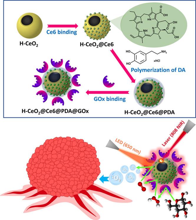 https://cdn.ncbi.nlm.nih.gov/pmc/blobs/3df8/11110068/6765ddbeb5a5/mt3c01181_0001.jpg