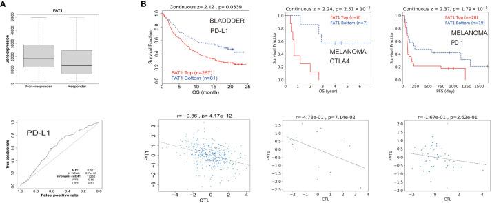 https://cdn.ncbi.nlm.nih.gov/pmc/blobs/3dfb/11157030/57f2a71be70f/fimmu-15-1369073-g005.jpg