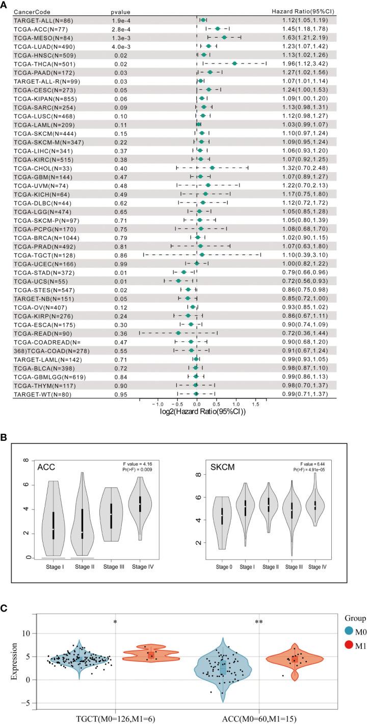 https://cdn.ncbi.nlm.nih.gov/pmc/blobs/3dfb/11157030/86e6484bea6b/fimmu-15-1369073-g002.jpg
